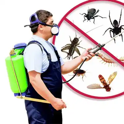 pest control Plainview